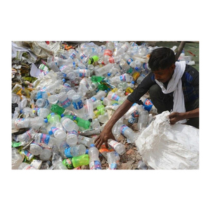 Flocons de PET recyclés, lavés à chaud et propres, issus de bouteilles en plastique PET, qualité moulage par soufflage/film soufflé, pour composants automobiles/électroniques, États-Unis - Product Image 2