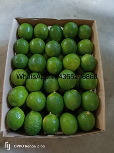 Grosir limau tanpa biji hijau buah jeruk organik segar dari rasa Vietnam Lemon manis untuk dijual berbagai Hoang Kim Lemon