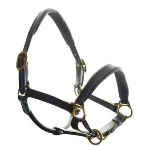 Serre-tête anatomique COLLIER SOL Confort Rembourré Show Clip Leather Headcollar Halter - Product Image 4