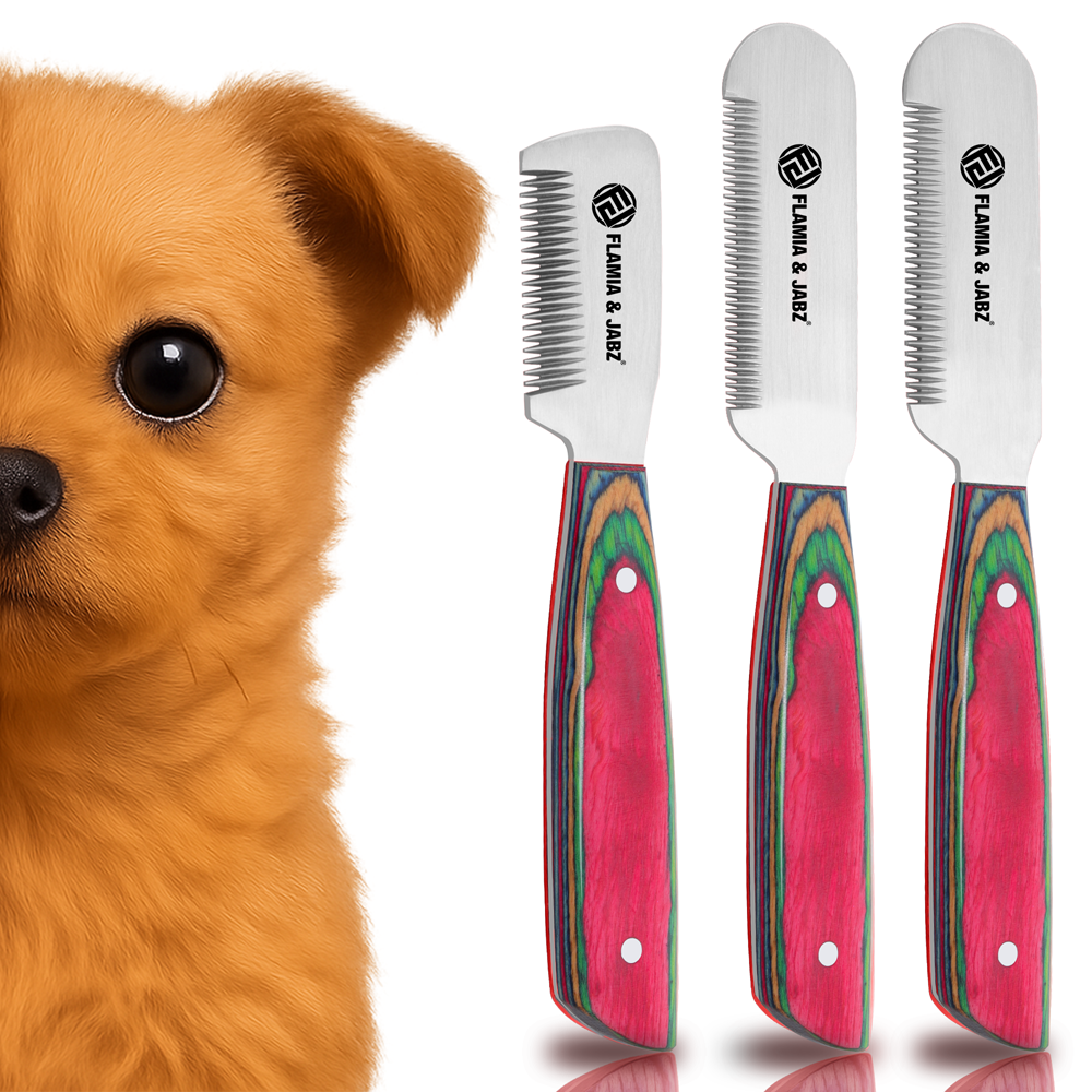 มัลติตี้