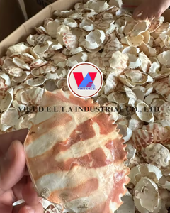 Poudre de coquille de crabe riche en calcium, fabrication à l'identique (OEM) et approvisionnement en vrac - Product Image 2