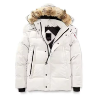 Vestes matelassées en toile à capuche grande taille avec fermeture éclair sur le devant, streetwear d'hiver pour hommes, haute qualité
