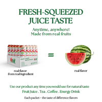 Groothandel Frisdrank - 490ml Watermeloen Fruchtsap met Vruchtvlees 100% Natuurlijk Vitamine OEM ODM Private Label Drankproductie