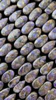Charoïte de haute qualité, poids personnalisé, excellente étanchéité, prix compétitif, pierre naturelle polie pour la fabrication de bijoux