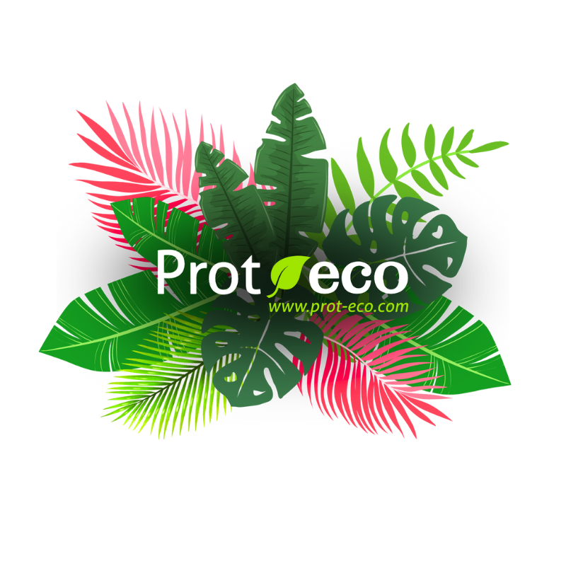 PROT-ECO logo