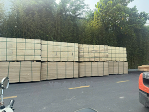Vietnam 9-21mm contreplaqué de bouleau étanche pour la production de construction de murs palettes en bois E0 émission de formaldéhyde pour une utilisation en intérieur - Product Image 4