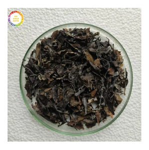 Alga Marina Sargassum Seca de Primera Calidad para Alimentación de Aves y Acondicionador de Suelo, Suministro a Granel - Product Image 1