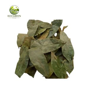 Feuilles de Graviola Séchées Pures, Thé Herbal, Feuilles de Corossol Naturelles, Vente en Gros, Emballage en Vrac, Directement de l'Usine du Vietnam - Product Image 1