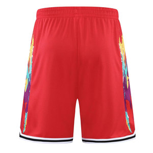 Shorts de basket-ball en maille en vrac, longueur genou, shorts de basket-ball en maille de haute qualité, logo personnalisé, shorts de basket-ball pour hommes, broderie - Product Image 6