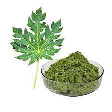 ผงใบมะละกอคุณภาพสูงสารเพิ่มพลังงานฉลากสะอาดออร์แกนิก - Product Image 6