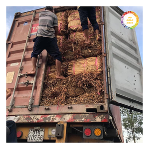 ก้านผักตบชวาแห้งธรรมชาติขายส่งสำหรับการผลิตขนาดใหญ่ - Product Image 6