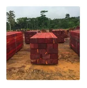 African Padauk Wood Log/ Timber/ Sawn with Negotiable Price for Flooring, Furniture and Other Wood Objects