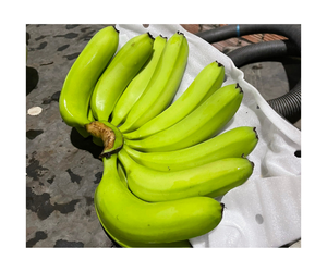 กล้วยสด Cavendish กล้วยสดจากบริษัทส่งออกเวียดนามข้อมูลทองคำ99 - Product Image 1