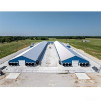 Gallinero Moderno de Acero Galvanizado con Diseño de Granja Avícola y Sistema Automatizado para la Prevención de la Gripe Aviar y Baja Mortalidad