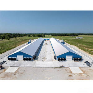 Structure moderne en acier galvanisé pour poulailler, conception de ferme avicole avec système automatisé pour la prévention de la <span class=keywords><strong>grippe</strong></span> aviaire, faible mortalité - Product Image 3