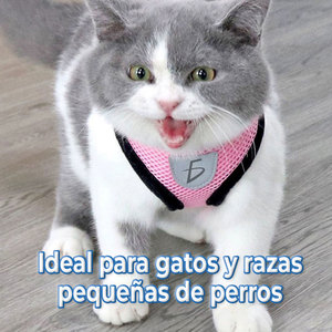 Set di Pettorina e Guinzaglio per Animali Domestici, Comodo e Traspirante, Stile Semplice e Grazioso per Passeggiate e Addestramento di Cani e Gatti - Product Image 3