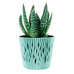 Ensemble de 4 pots de fleurs ronds en plastique Sandy de 1,7 L de couleur sauge, 15,8 x 15,8 x 13,8 cm + 1 ensemble gratuit d'outils de jardinage - Product Image 6