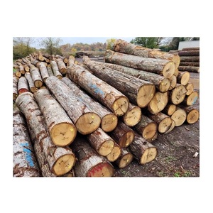 Bulk Supply Oak Wood Round <b>Logs</b> White Oak and Red Oak for Lumber and Wood Industry - Product Image 5