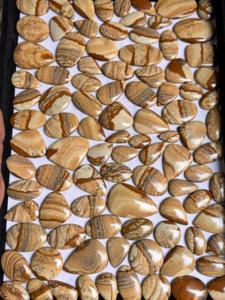 พลอยแจสเปอร์เกรด AAA รูปทรงคาโบชอง แท้ 100% สำหรับทำเครื่องประดับ ขนาดและรูปทรงปรับแต่งได้ ตรวจสอบโดยผู้เชี่ยวชาญ - Product Image 4