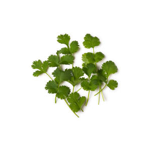 Copos de cilantro deshidratado verde natural seleccionado chino - Product Image 1
