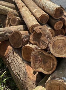 Produits très vendus en bois naturel 100% - Product Image 4