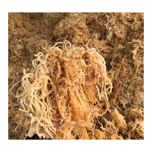 Mousse de soie irisée 100% biologique, 1 pièce, prix en vrac, fabrication de joints avec bonne qualité - Product Image 1