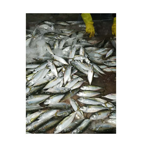 Maquereau Congelé Pas Cher Prix-Poisson Du Brésil Nature Poisson 10kg Carton Boîte - Product Image 2