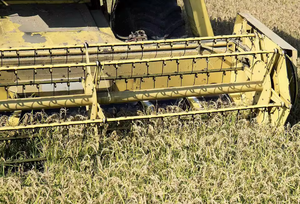 Cheap 4 Row Combine Harvester 200 HP Agricultural <b>Harvest</b> Machine for Corn Wheat Rice - Product Image 6