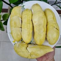 Verse Durian Uit Vietnam: Beste Kwaliteit, Beste Prijs