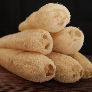 100% Organic Loofah Whole Sustainable, Natural <b>Exfoliation</b>, High Quality From VIET FARGIMEX - Product Image 6