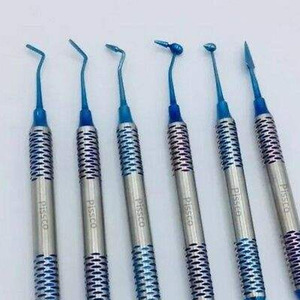 Kit de Instrumentos Dentales PISSCO, Kit de Instrumentos Dentales Profesionales, Juego de Instrumentos Quirúrgicos Dentales, 13 Piezas de Acero Inoxidable - Product Image 6