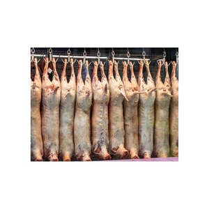 Carcasa de Cordero Entera Congelada Premium, Certificada Halal, Exportación a Granel, Proveedor Directo de Fábrica, Envío Mundial - Product Image 3