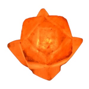 โคมไฟเกลือรูปดอกกุหลาบที่หรูหราสร้างขึ้นด้วยสายไฟฟ้าและหลอดไฟระดับสูงโดย sian Enterprise - Product Image 5