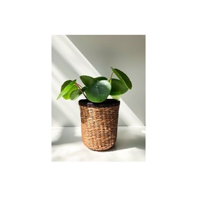Meilleure vente de pots de jardinière en rotin bambou pour jardin intérieur extérieur panier en fer fait main - Product Image 1
