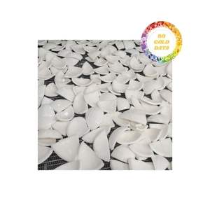 เนื้อมะพร้าวแช่แข็งสีขาวสำหรับส่งออกจำนวนมากใช้ในโรงงานอาหารขนมและการผลิตเครื่องดื่ม - Product Image 3