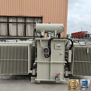 Transformador de Distribución Montado en Poste APEX S13 50-2500kVA 11-33kV/415V Trifásico 50Hz Cobre Puro C5 Anticorrosión para Redes Eléctricas - Product Image 3
