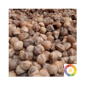 Coco maduro semi descascarillado fresco Ideal para bebidas de cocina de agua de coco rico Suministro a granel con carne blanca y textura firme - Product Image 2