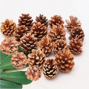 Pinecone Natural en precio al por mayor Pinecone Decoración navideña para decoración de habitaciones y fiestas - Product Image 6