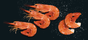 Fournisseur de crevettes rouges argentines de qualité supérieure, surgelées IQF, qualité sushi, crevettes sauvages - Product Image 1