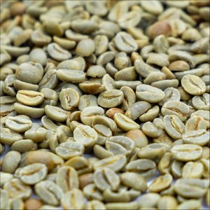 เมล็ดกาแฟโรบัสต้าเวียดนามสินค้าใหม่ครอป2023 2024วา008467851111เจนซี่ - Product Image 3