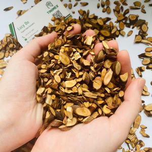 Rama persistente en forma de corte de Cassia/rama picante corte de palo joven Cynamon/ramita en forma de canela plana (WA: + 84362512699) - Product Image 2