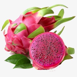 Buen precio Frozen Pitaya/ Dragon Fruit en temporada alta Sra. Sophie - Product Image 1