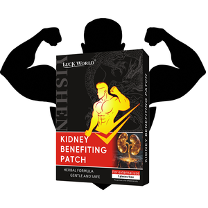 Patchs pour la santé des reins masculins, 7 pièces/boîte, santé naturelle, récupération de la fatigue masculine, amélioration de la fonction rénale, ingrédient à base de plantes - Product Image 2