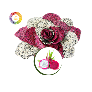 Fruta de dragón seca de Vietnam-Color brillante, rico en fibra, ideal para mercados conscientes de la salud - Product Image 6