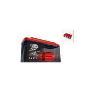 Batterie au lithium LiFePO4 100Ah/12V avec affichage numérique, tension nominale 12,8V et 36V - Product Image 2