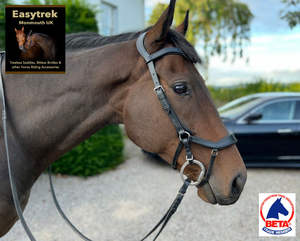 กระดูกคอลเลจิเอตหนังสีน้ําตาลขนาดเต็มพร้อมปากมีความสุขและสายยาง - Product Image 4