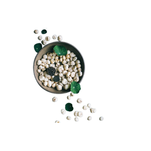 เมล็ดบัวแห้งคุณภาพสูง / ของว่างเพื่อสุขภาพจากเวียดนามพร้อมรับประทานมีใบรับรองสุขาภิบาลพืช - Product Image 3