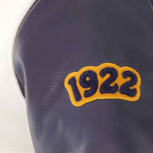 Servicio OEM, Chaqueta Universitaria Personalizada para Hombre, Cómoda, de Invierno, Mangas Largas, con Bolsillos, Nuevo Diseño, Chaqueta Universitaria de Béisbol - Product Image 5