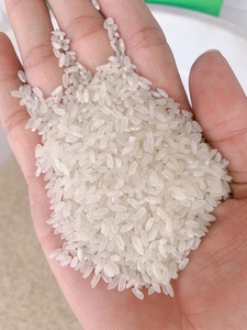 ARROZ DE GRANO MEDIO REDONDO, SELECCIONADO Y PULIDO (WA/Móvil: Sr. Daivd 0084986778999) - Product Image 2