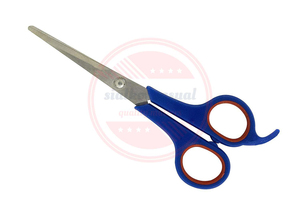 Ciseaux de toilettage en acier inoxydable de haute qualité à manche en plastique | pour les toiletteurs ciseaux de toilettage droits à usage quotidien - Product Image 2